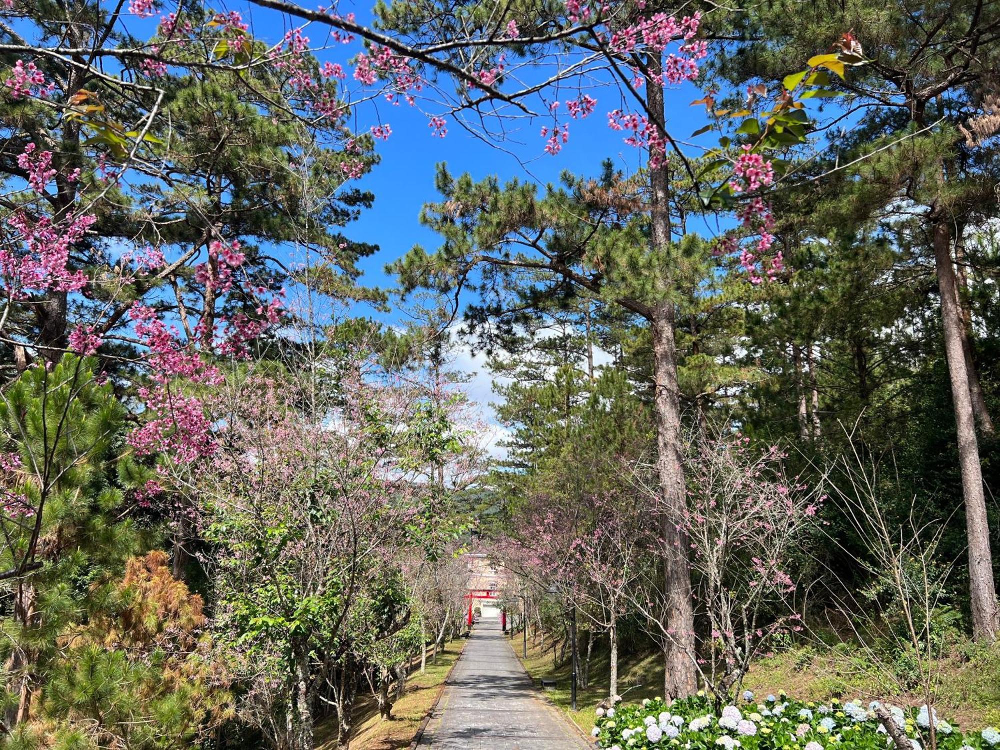 Dalat Edensee Lake Resort & Spa Exterior photo